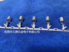 6.0保險(xiǎn)絲銅管端子